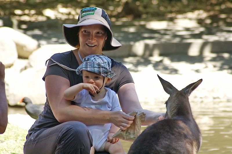 2009-11-06 22-02-16_1.jpg - "Tiere gucken" im "Habitat" in Port Douglas